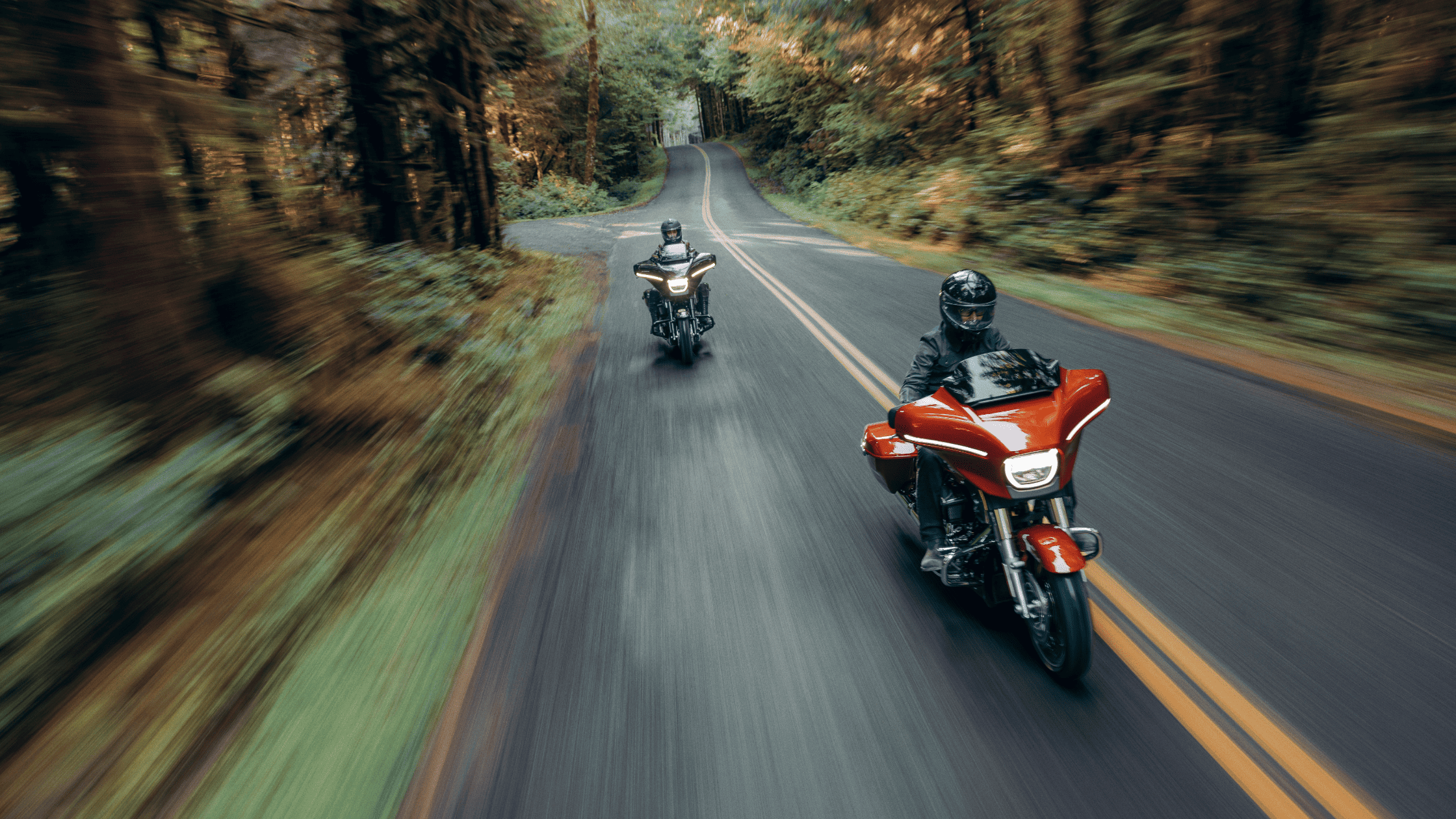 Two 2024 Harley-Davidson® Street Glide® motorcycles ride along a winding road through a lush forest landscape.