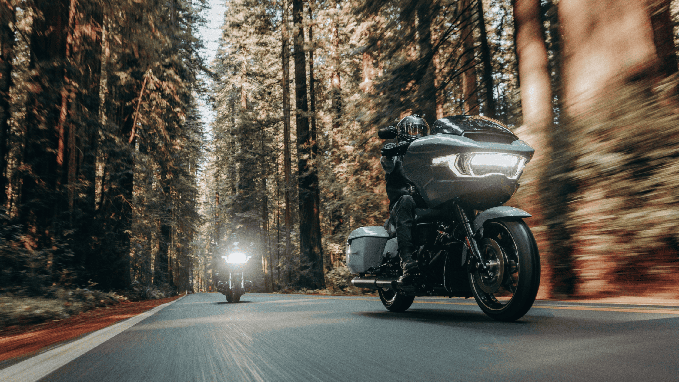 Two riders on 2024 Harley-Davidson® Road Glide® motorcycles cruising through a forest, showcasing the bike's sleek sharknose fairing, advanced LED lighting, and touring capabilities near Houston, TX.
